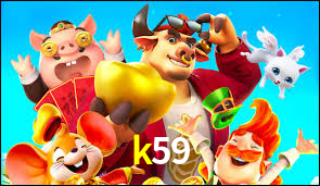 Premium Interface k59